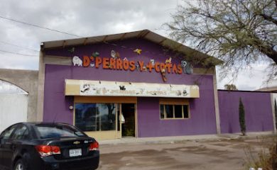 Tienda de productos para mascotas D' Perros y Mascotas