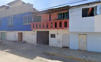 Tienda de productos para mascotas D'DOG