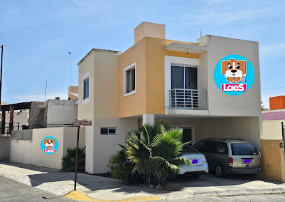 Tienda de productos para mascotas Distribuidora 4D