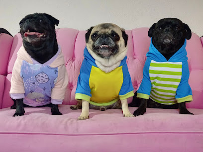 Tienda de productos para mascotas Dogshine marca de ropa cool para perros