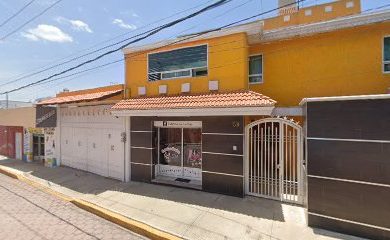 Tienda de productos para mascotas Doje estética canina