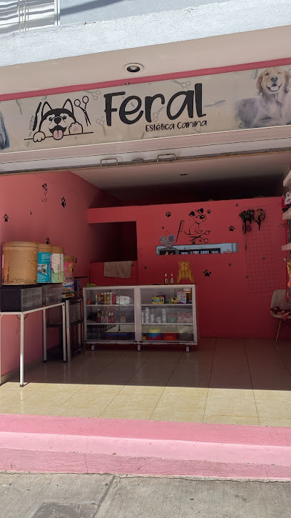 Tienda de productos para mascotas ESTETICA CANINA FERAL