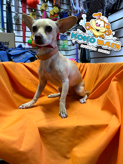 Tienda de productos para mascotas Estetica canina Koko Wash Chilpancingo