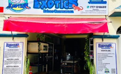 Tienda de productos para mascotas Exotic’s Erizos Cuernavaca