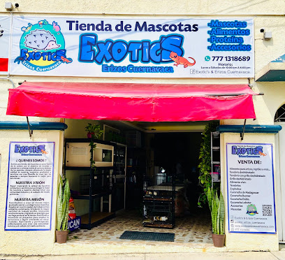 Tienda de productos para mascotas Exotic’s Erizos Cuernavaca