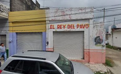 Tienda de productos para mascotas GARY'S BOUTIQUE