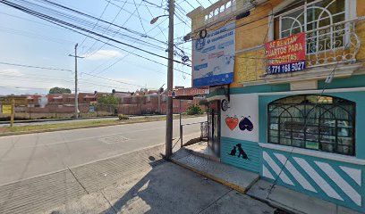 Tienda de productos para mascotas GOGA mascotas