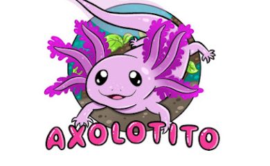 Tienda de productos para mascotas Grupo Gama