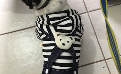 Tienda de productos para mascotas Guau Boutique