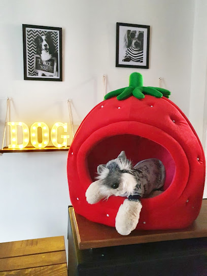 Tienda de productos para mascotas Happiness pet shop
