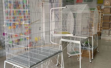 Tienda de productos para mascotas Happy Pets Mx