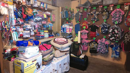 Interior con productos de Huellitas Ropa y Accesorios para Mascotas en Ensenada, B.C.