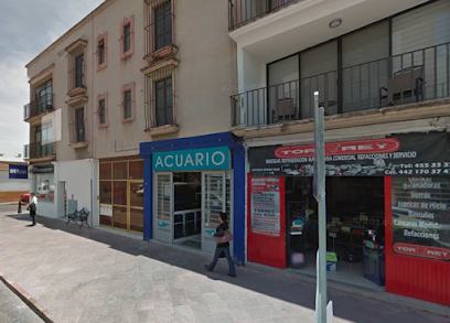 Tienda de productos para mascotas Kaknab, productos para mascotas.