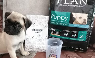 Tienda de productos para mascotas Kenzon Croquetas a Domicilio