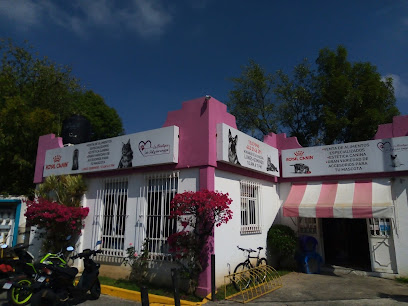 Tienda de productos para mascotas La Boutique de Sofi y sus Amigos