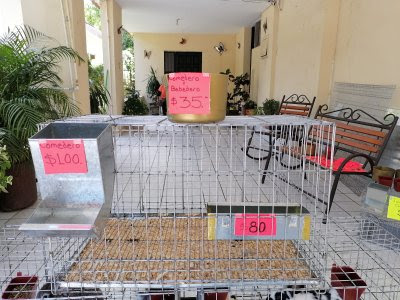 Tienda de productos para mascotas La Granja de Bely