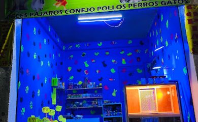 Tienda de productos para mascotas La casa de la mascota