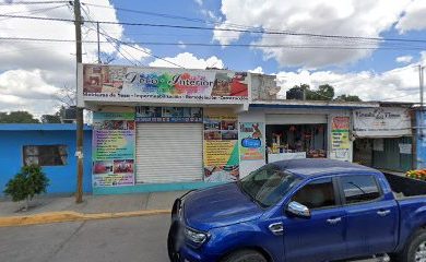 Tienda de productos para mascotas La tienda del Timon