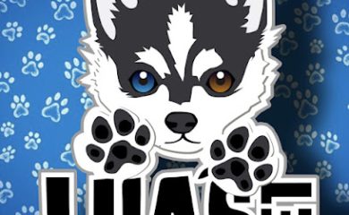Tienda de productos para mascotas Luas Pet