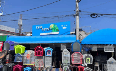 Tienda de productos para mascotas Lylopets