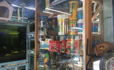Tienda de productos para mascotas Mascotas Brenda