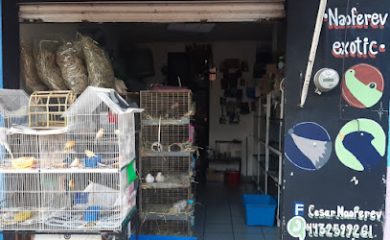 Tienda de productos para mascotas Mascotas Naoferev Exotic