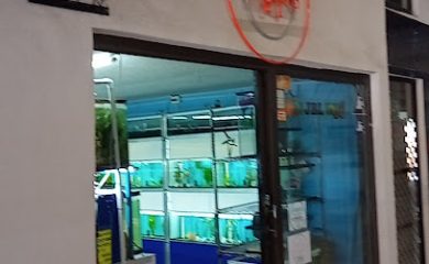 Tienda de productos para mascotas Mascotas las Burbujas