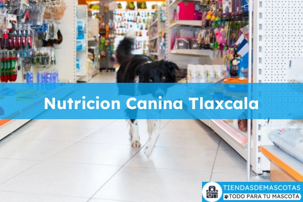 Tienda de productos para mascotas Nutricion Canina Tlaxcala