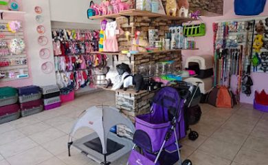 Tienda de productos para mascotas Oh My Dog Sabinas