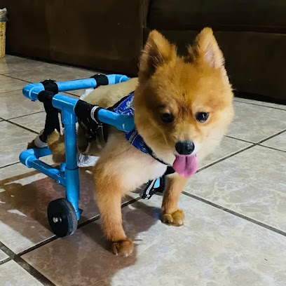 Tienda de productos para mascotas Pasito Guauu Miauu