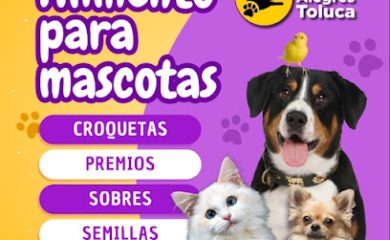 Tienda de productos para mascotas Patitas Alegres Toluca Alimentos