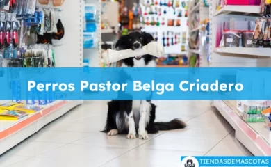 Tienda de productos para mascotas Perros Pastor Belga Criadero