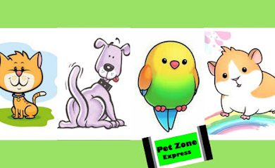 Tienda de productos para mascotas Pet Zone Express