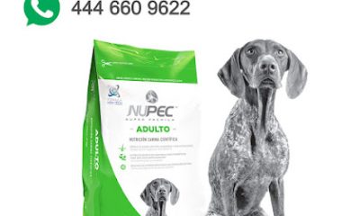 Tienda de productos para mascotas PetShop Morales