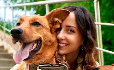 Tienda de productos para mascotas Pet'elato