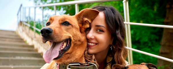 Tienda de productos para mascotas Pet'elato