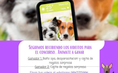 Tienda de productos para mascotas Que Chulada Pet Shop Mx