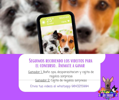 Tienda de productos para mascotas Que Chulada Pet Shop Mx