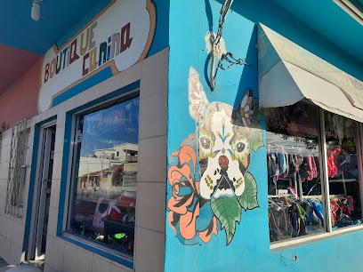 Tienda de productos para mascotas Ropita de perritos luluse