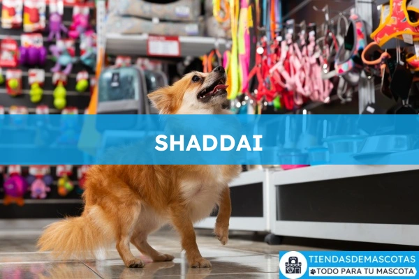 Tienda de productos para mascotas SHADDAI