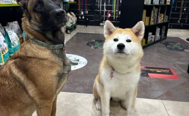 Tienda de productos para mascotas Saliforpets