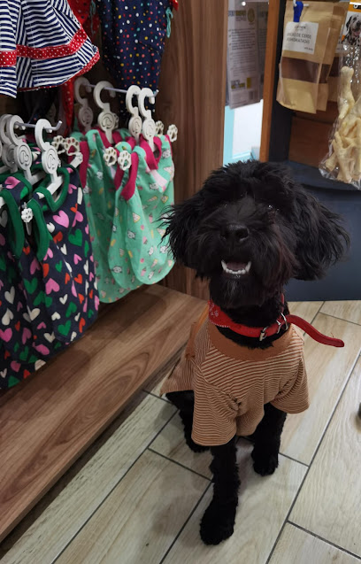 Tienda de productos para mascotas Shu-laláh Pet Boutique Tulancingo
