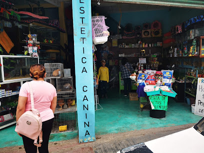 Tienda de productos para mascotas Tienda de mascotas Liverpuulgas