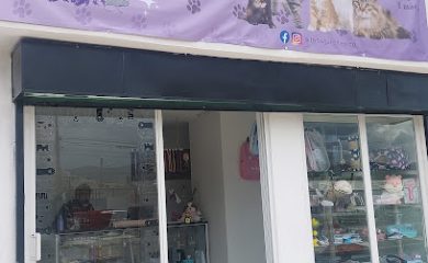 Tienda de productos para mascotas TodoGato