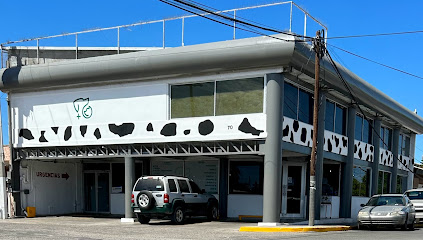 Tienda de productos para mascotas VIPET