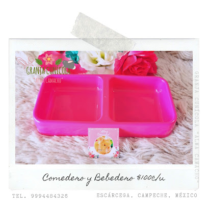 Venta de Conejos «Alma Camacho», tienda de productos para mascotas en Escárcega, Campeche, México.
