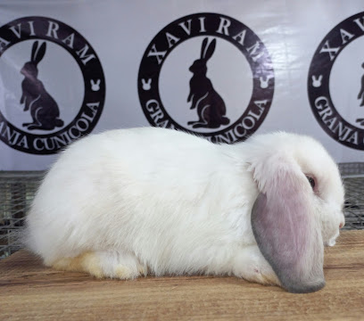 Tienda de productos para mascotas Xavi Ram