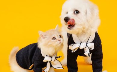 Tienda de productos para mascotas agua de mascota