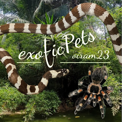 Tienda de productos para mascotas exoticPets oiram23