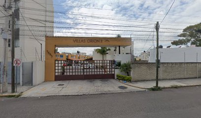 Tienda de productos para mascotas ilcane.mx